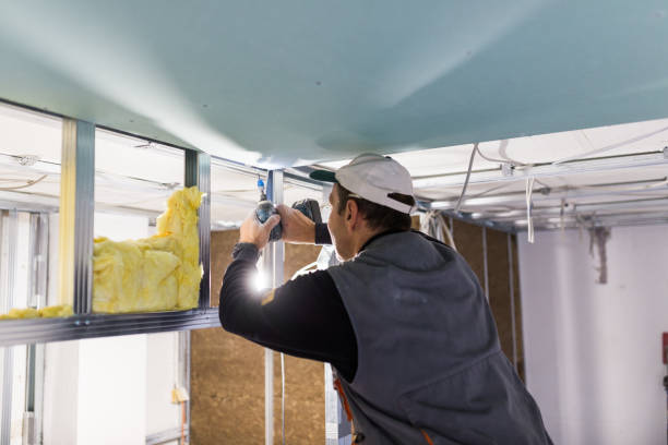 Best Geographic-Specific Insulation Services in North Bellport, NY