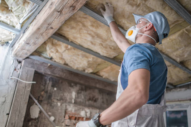 Best Eco-Friendly Insulation in North Bellport, NY